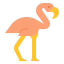 animals,wildlife,zoo,animal,wild,flamingo