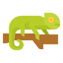 animals,wildlife,zoo,animal,wild,chameleon