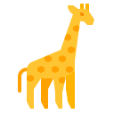 animals,wildlife,zoo,animal,wild,giraffe