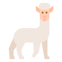 animals,wildlife,zoo,animal,wild,alpaca