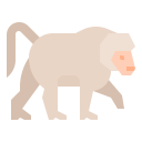 animals,wildlife,zoo,animal,wild,baboon ok 