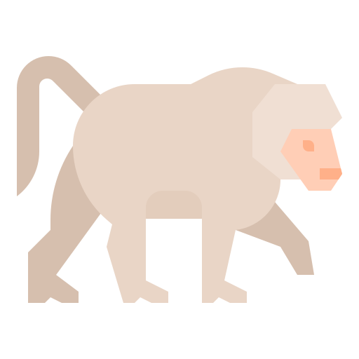 Baboon