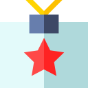 security,miscellaneous,star,identification,pass,badge,personal