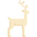 animals,wild life,animal,zoology,deer