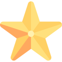 decoration,star,ornamental,christmas,xmas,shine,christmas star