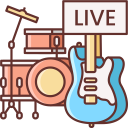 music and multimedia,musical instrument,music,percussion instrument,orchestra,guitar,drum,drums,concert,live,band,concerts