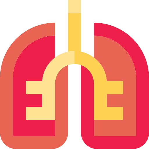 Lungs