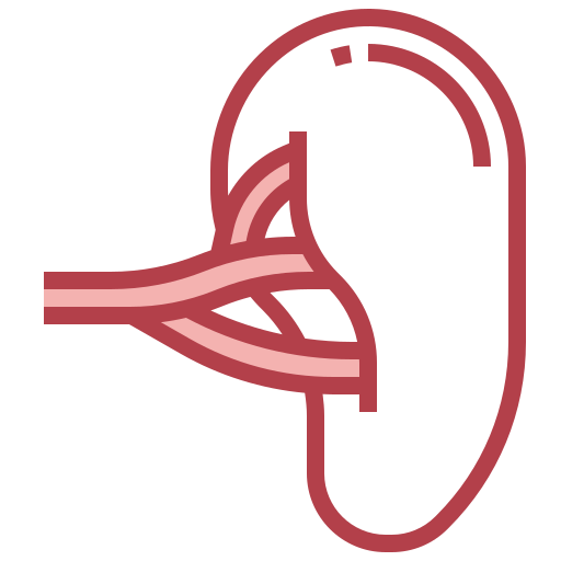 Spleen