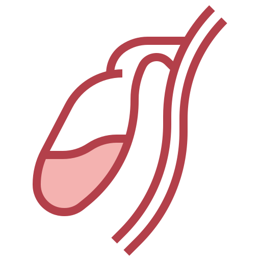 Gallbladder