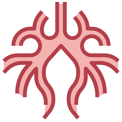Bronchus
