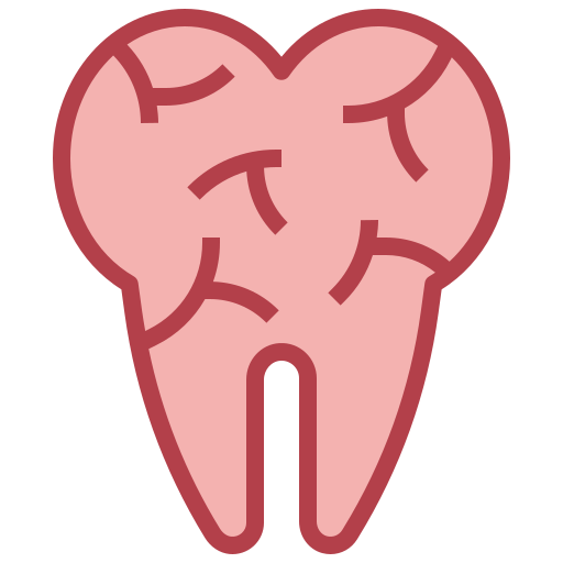 Tooth