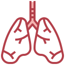 medical,healthcare and medical,education,healthcare,people,diagram,organ,body,anatomy,breath,lungs,physiology,human,lung