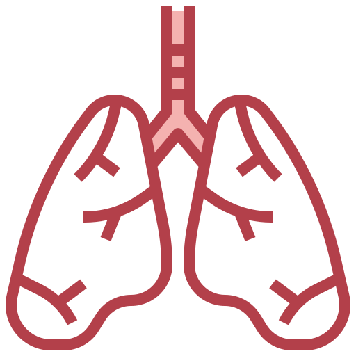 Lungs