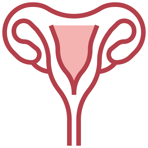 Uterus