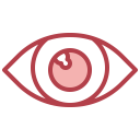 interface,medical,healthcare and medical,education,healthcare,eye,people,view,visible,visibility,diagram,body,anatomy,physiology,human