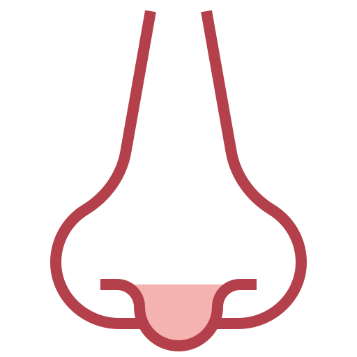 Nose