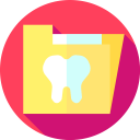 healthcare and medical,document,files and folders,dentist,tooth,dental,premolar ok 