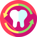 medical,healthcare and medical,dentist,tooth,dental,molar ok 