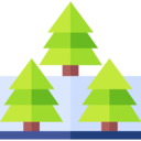 landscape,nature,trees,woods,forest,pines