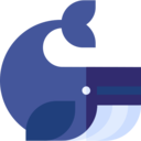 animals,aquatic,whale,sea,life