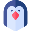 animals,wildlife,animal kingdom,animal,zoology,penguin,fauna ok 