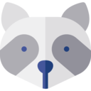 animals,mammal,avatar,wild life,animal kingdom,animal,racoon ok 