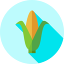 food,vegan,healthy food,food and restaurant,organic,diet,vegetarian,cereal,corn ok 