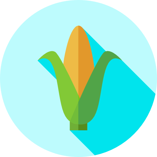 Corn