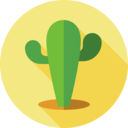 dry,nature,plant,botanical,dessert,cactus