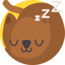 animals,mammal,pet,cat,feline,sleep