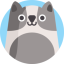 animals,mammal,pet,cat,feline