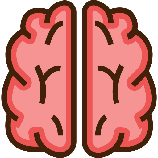 Brain