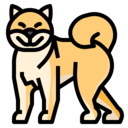japan,cultures,animals,dog,pets,shiba,shiba inu