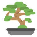 japan,cultures,nature,bonsai,plant,tree,bio