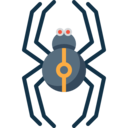 animals,bug,spider,insect,arachnid,spooky,scary,halloween,horror,terror,fear,entomology ok 