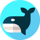 animals,mammal,nature,fish,sea life,aquatic,ocean,whale