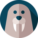 animals,mammal,wildlife,zoo,marine,walrus