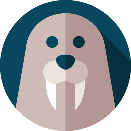 Walrus