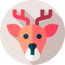 cultures,animals,wildlife,animal kingdom,zoo,reindeer,deer