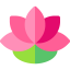 Chinese New Year icon 64x64