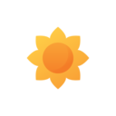 nature,botanical,flower,blossom