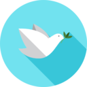 animals,peace,bird,pigeon,dove