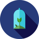 ecology and environment,nature,plant,leaf,ecological,gardening,garden,plants,ecologism ok 