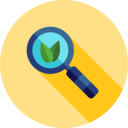 ecology and environment,magnifying glass,search,Tools and utensils,loupe,detective,zoom