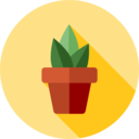 ecology,nature,plant,botanical,gardening,garden,yard ok 