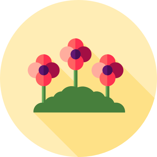 Poppy