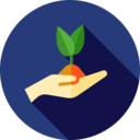 ecology and environment,nature,plant,botanical,sprout,gardening,growing seed