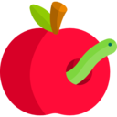 food,vegan,healthy food,organic,diet,vegetarian,education,fruit,apple,worm ok 