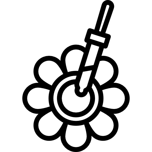 Pipette