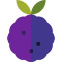 food,vegetable,vegan,healthy food,food and restaurant,organic,diet,vegetarian,fruit,Raspberry,blackberry